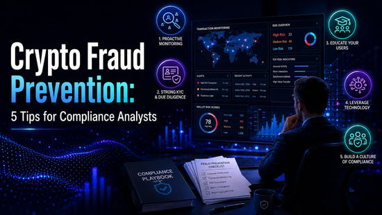 Crypto compliance analyst reviewing transaction monitoring, KYC checks, risk analytics, education and governance controls to prevent cryptocurrency fraud.